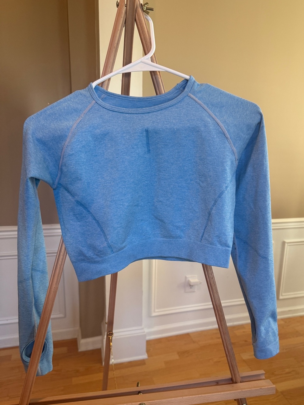 Light Blue Long-Sleeve Crop Top - Fitted Athletic Style